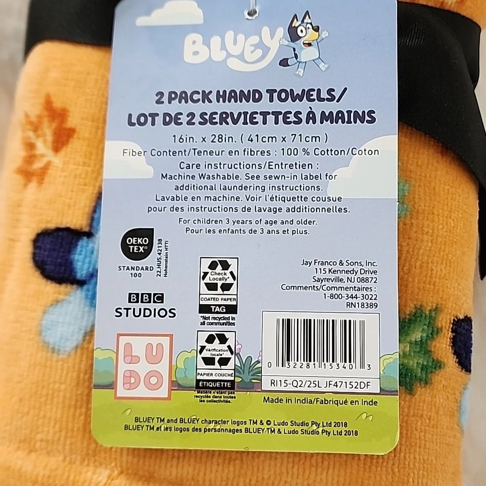 Bluey & Bingo Autumn Pumpkins & Fall Leaves Orange Halloween 2 Pack Hand Towels